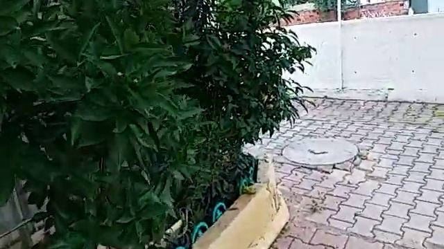 ЦЕНА НА КВАРТИРЫ В СТАРЫХ ДОМАХ СТАРШЕ 10 ЛЕТ!ПО ВОПРОСУ ПОДПИСЧИКА!АНТАЛИЯ КЕПЕЗ АХАТЛЫ