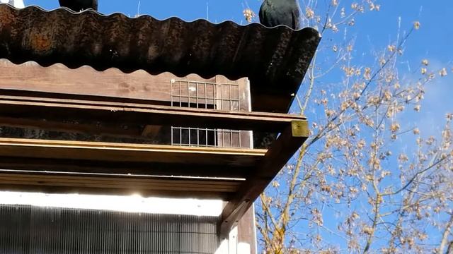 10 октября 2022 г..mp4 смотреть онлайн