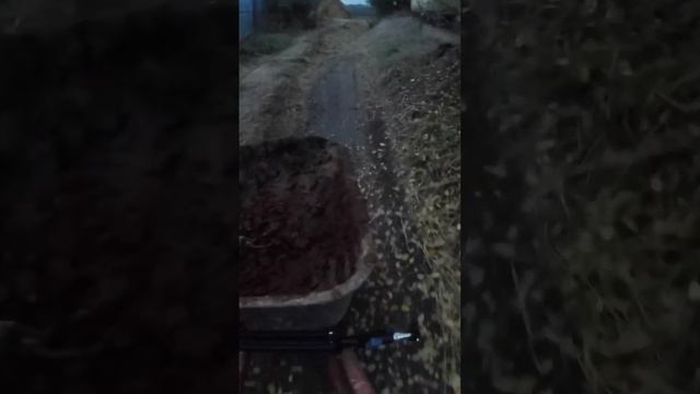 40 лет как под наркозомТелега - Podrostokizderevni #прикол #говновоз #деревня