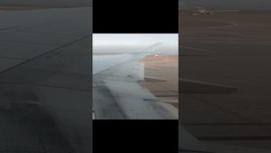 Шереметьево 17.10.2024