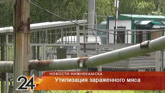 Сжигают индюшатину смотреть онлайн