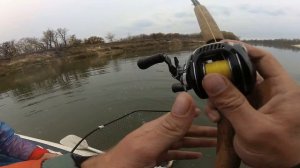 #shorts Спиннинг Lamiglas X89MTC with Daiwa Zillion 100HSHLR. Щука монстр. Поролонка 8 см.