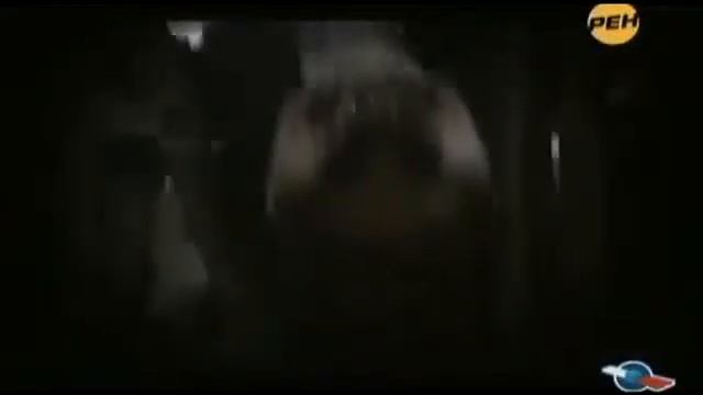 ВОЛНОВАЯ ГЕНЕТИКА