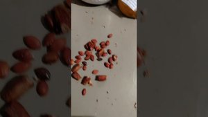 Такого вы точно не в видели.