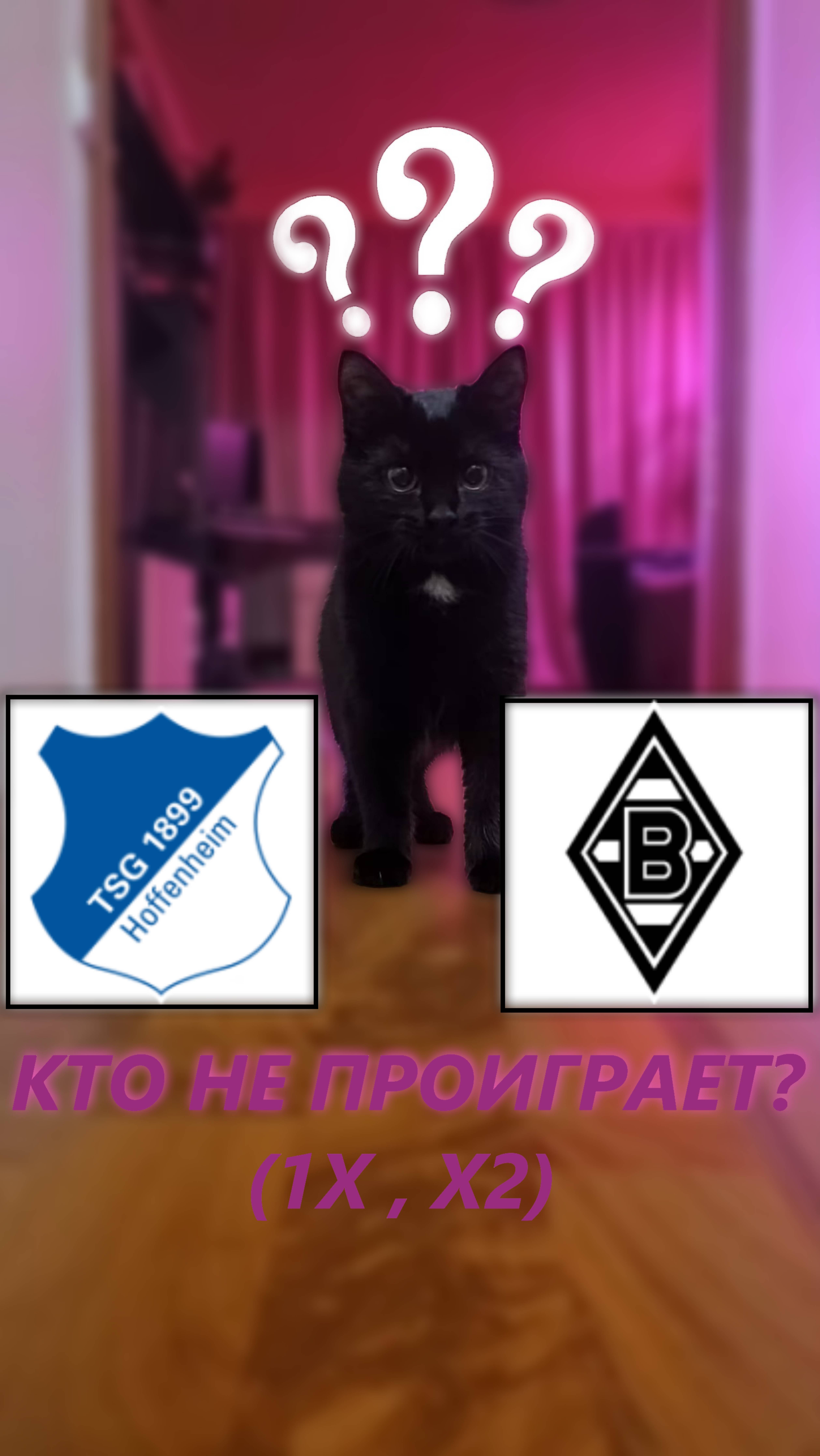 Прогноз на 17 тур Серии А Хоффенхайм - Боруссия М.