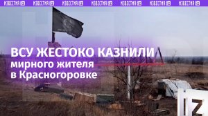 ВСУ жестоко расстреляли мирного жителя освобожденной Красногоровки в ДНР / Известия