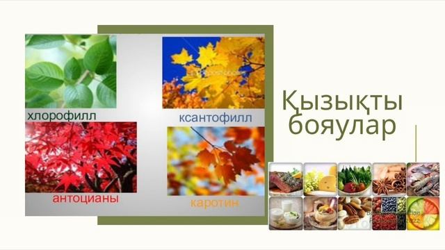 Фотосинтез пигменттері #пигменты  #фотосинтез
