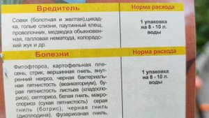 Обработка от болезней и вредителей на томатах, перцах, баклажанах.