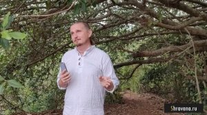 РАХУ в 1 ПЕРВОМ доме | Дмитрий Пономарев