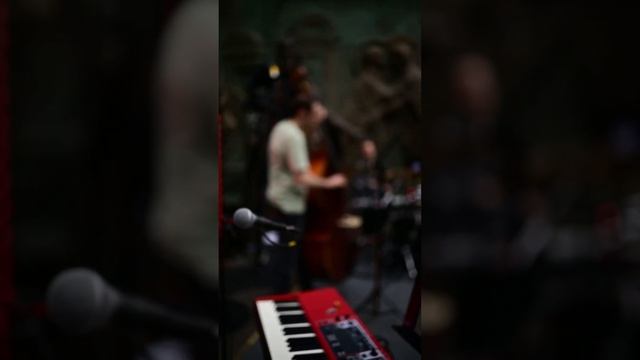 Эти ребята заряжают своей музыкой❤️ #imperialis #concert #music #концерты смотреть онлайн