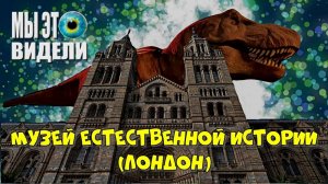 Лондонский Музей естествознания (краткий обзор). Или что посмотреть в Лондоне бесплатно.