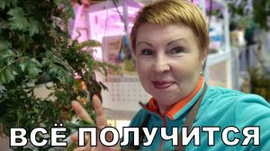 Критикуешь- предлагай! Что с семенами. Не торопись сеять! Вести из Светёлки.