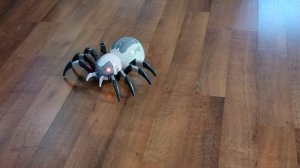 DEERC Remote Control Spider, Realistic Robot Spider with Spray and Lights, RC Big Boy Toys, Gifts f