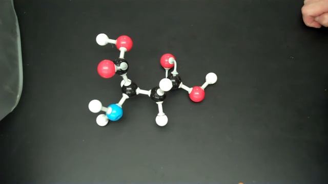 Molecular Model of Aspartic Acid смотреть онлайн