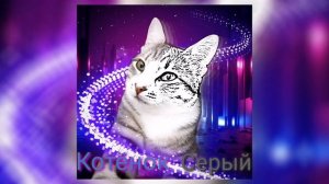 Котёнок Серый (песня_2020) NEIROX