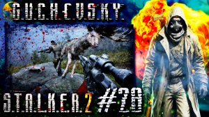 S.T.A.L.K.E.R. 2: Прохождение #28. ПАТЧ 1.1 A-LIFE, Сухогруз, жесткий рандом, БОСС-МУТАНТ, Зверобой