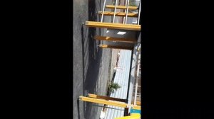 Влог на прогулке! (2 часть)