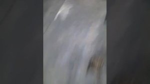 Део Сенс  непонятный стук