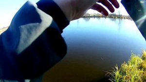 Стрелецкий ручей 31.10.2021. Ловлю кастингом на воблеры, джиг, блесна. Секретный воблер выручил.