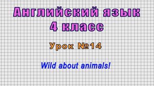 Английский язык 4 класс (Урок№14 - Wild about animals!)