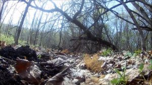 Было Трудно,но я ЕГО нашел!!! Поиск в Лесу  с X TERRA PRO.