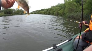 Рыбалка в Шилово от 21.08.22