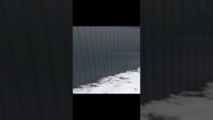 Отопление барнхауз + баня + беседка тепловой насос Темзит производительность 14 кВт.