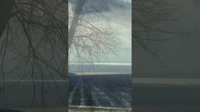 Темрюкский район. Поездка Ильич-Голубицкая. #недвижимостьнапобережье  #краснодарскийкрай