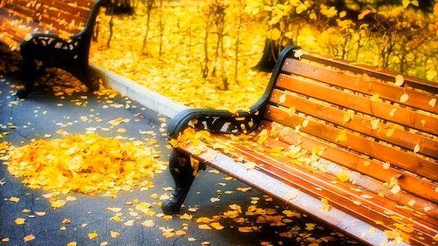 В осенних листьях город утонул. Исполняет автор слов и музыки Николай Саллас смотреть онлайн