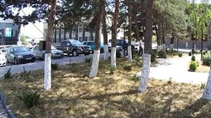 В Ахалкалаки на 5 минут. ЦЕНТР. Видео дня 1