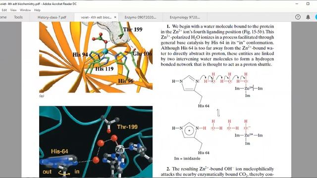 Metal-Ion, Proximity-Orientation Catalysis смотреть онлайн