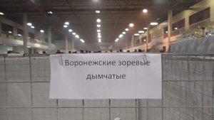 Федеральная выставка голубей  Воронеж 01.12.24. Часть вторая-вольеры.