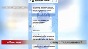 Видео с тараканами в школьной столовой привлекло внимание прокуратуры в Железногорске-Илимском