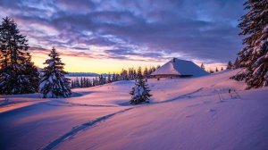 Зимнее утро