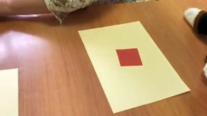 К нам пришла собачка