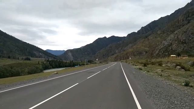 На "Туристе" ХВЗ на Алтай! 18 августа 2023г. Ночью пришла агрессивная собака!