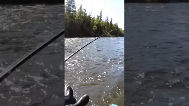 Рыбалка на горной речке #nature #шорст #друзья #отдых #бурятия #fishing