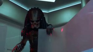 Клип про хищника