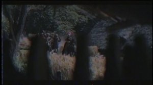 Битва в Тевтобургском лесу - трейлер