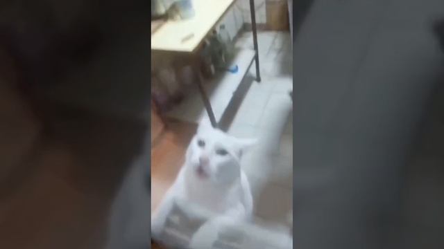 Психотравмы бывают разные..