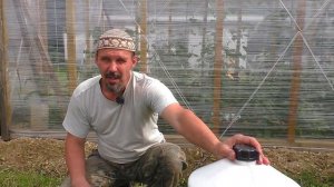 Лучшая поилка для птицы