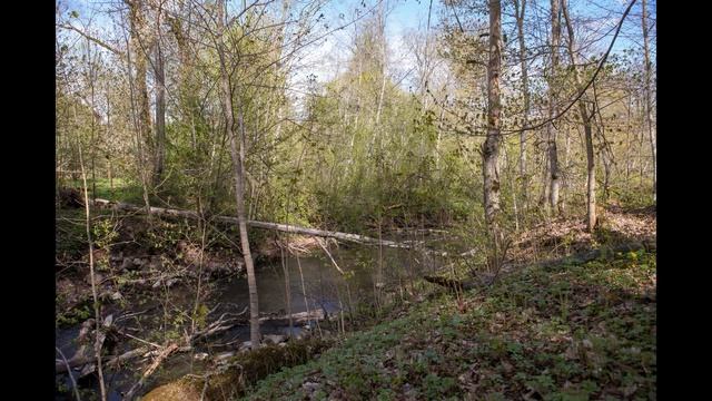 Возвращение в сказку вне времени. ННК короткие истории. #spa #visitestonia смотреть онлайн