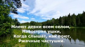 ЧАСТУШКИ ДЕРЕВЕНСКИЕ  Сергей Анацкий