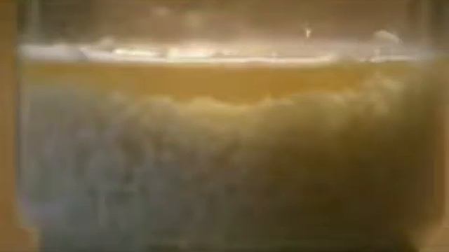 Японские исследования ЭТО ШОК!!!!!!!!!!!