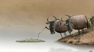 быки спорят (бревно крокодил) 2 часть