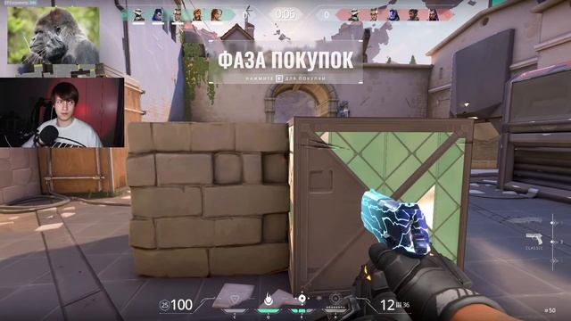 ЛЕГКИЙ РЕЙТ! ЧЕЛЛЕНДЖ БЕЗ ПОРАЖЕНИЙ! МОЛОДОЙ СТРИМЕР смотреть онлайн