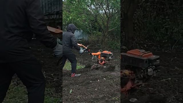 новый сезон обработки земли начинается #мотоблок #вспашка #огород