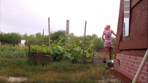 переодевания в женские вещи и не более, cross dressing in women's clothes