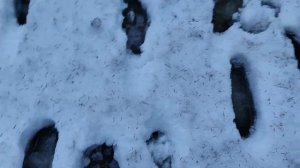 Prabos, ботинки которые носят снайпера школы 1/2 МОА