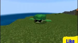 Песня морская черепашка по имени Наташка привет